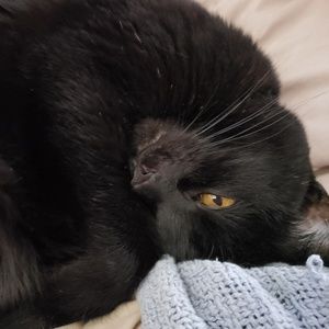 Meet your Posher, Beth